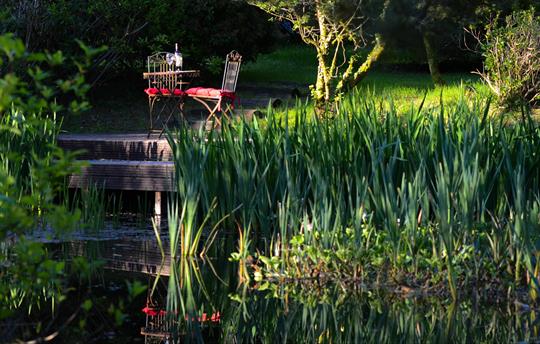 Mirefoot garden pond deck