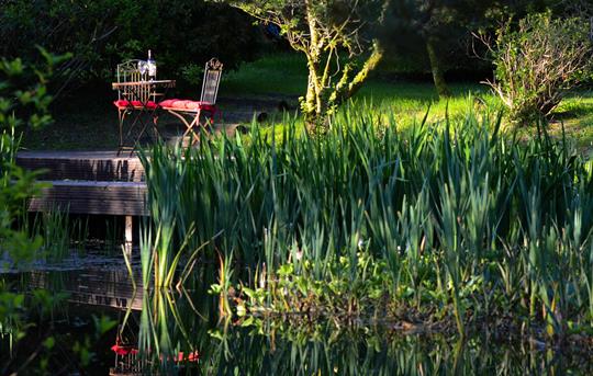Mirefoot garden pond deck