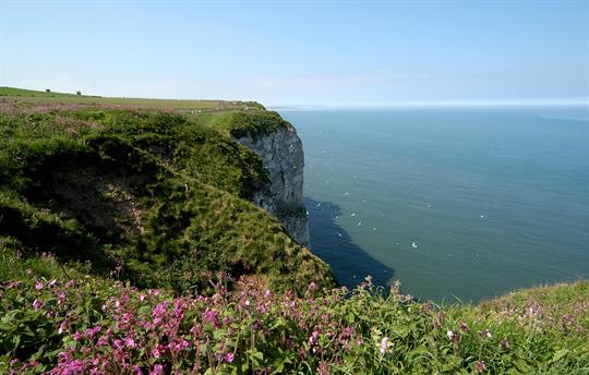 Flamborough Head