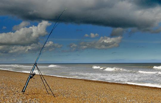 Beach Fishing