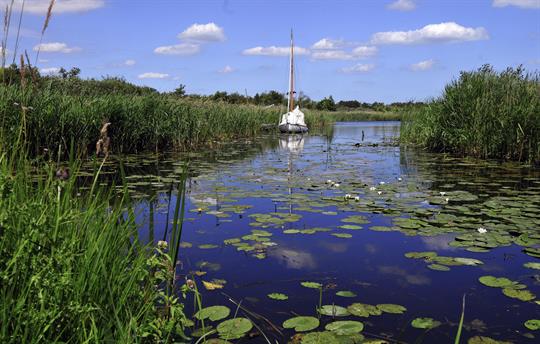 Norfolk Broads