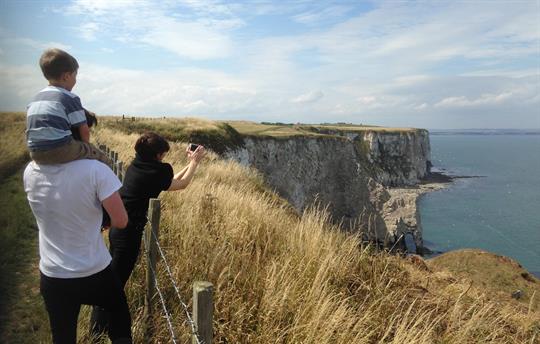 Summer on our cliff top land
