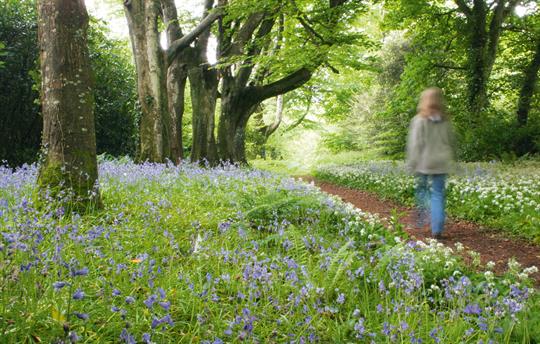 1000 Acres of woodland and farmland