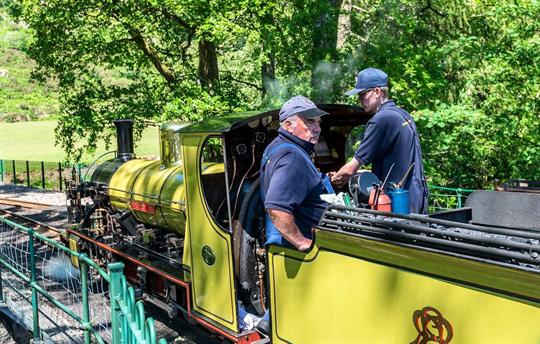 Take a trip on the Steam Train