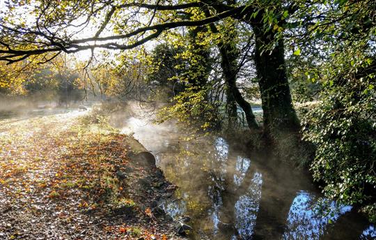 Woodland and riverside walks