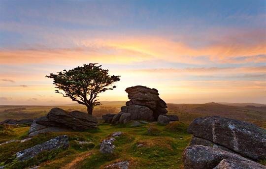 Evening Dartmoor