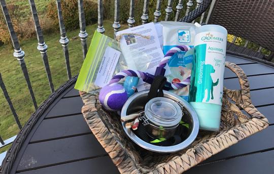 Doggies get a welcome hamper too!