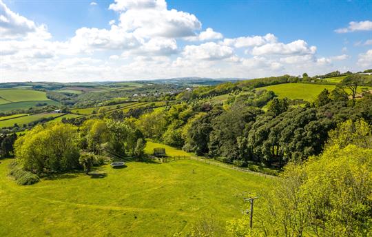 6-acre Onsite Dog Walking Area