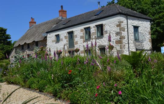 Front view of cottages