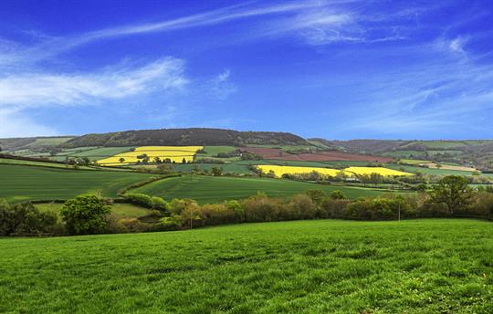 View from Oak Cottage