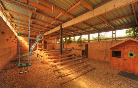 Indoor adventure playground