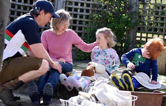 Guinea pigs to cuddle