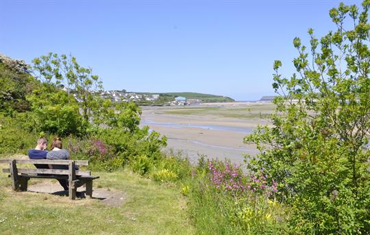 Local walk - Camel Estuary