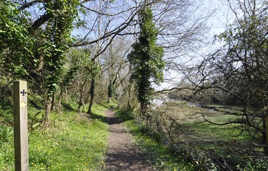 Local walk - Saints Way