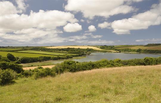 Local walk - Little Petherick creek
