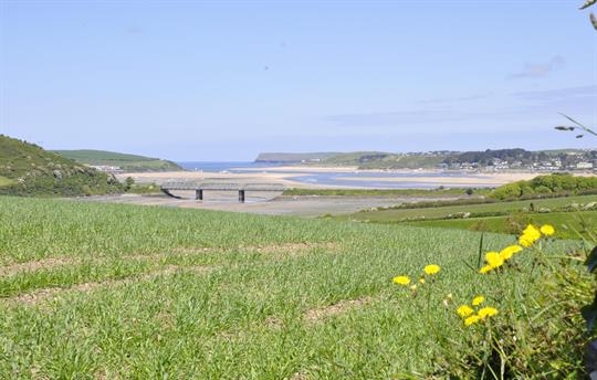Local walk - Camel Estuary