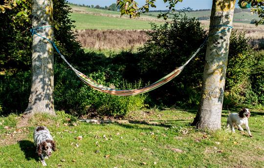 Meet Maggie and Nellie