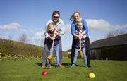 Playing Croquet