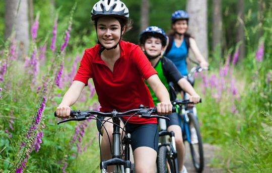 Cycling - Camel Trail, Lanhydrock, Cardinham Woods