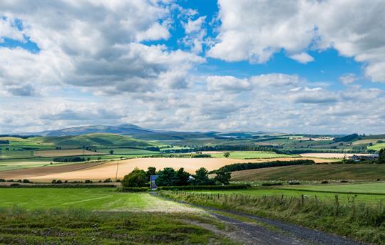 Hemmel House Landscape