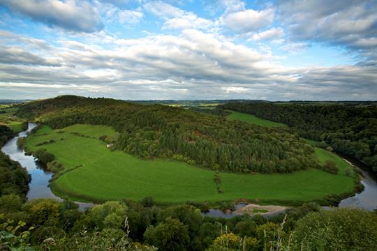 View from Yat Rock at Symonds Yat