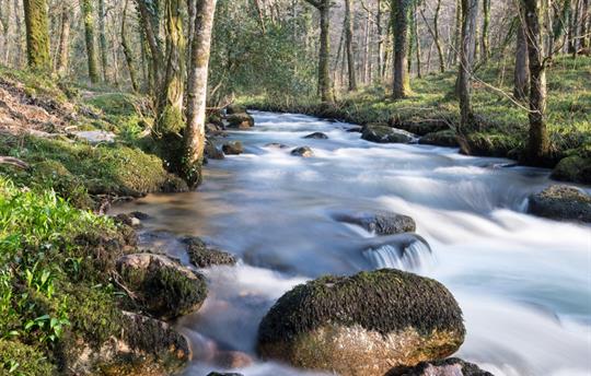 Dartmoor just a 20 minute drive