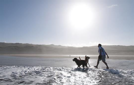 Many nearby dog friendly beaches