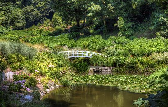 Trebah Gardens