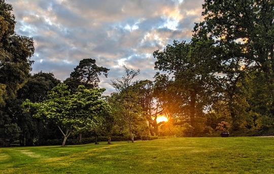 Heather Barn's garden