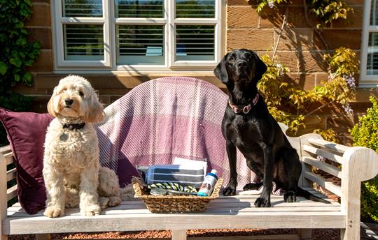 Very Dog friendly luxury holiday cottages