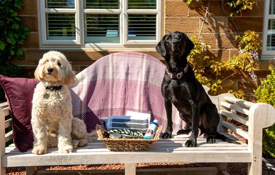 Very Dog friendly luxury holiday cottages