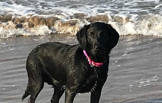 Playtime in the Sea !