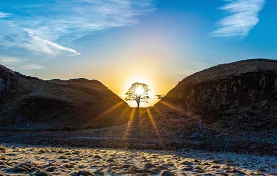 Sunrise Sycamore Gap Hadrians Wall