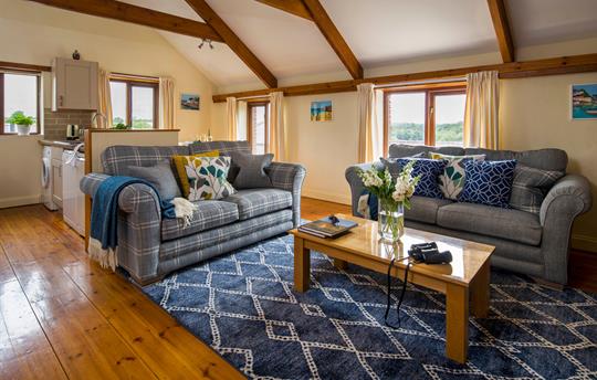 Haydon open plan living space