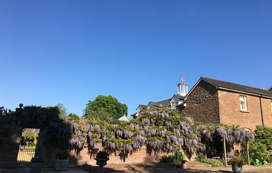 The gardens around Wharton Lodge Cottages