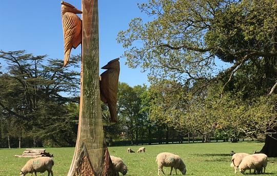 Wharton Lodge Parkland