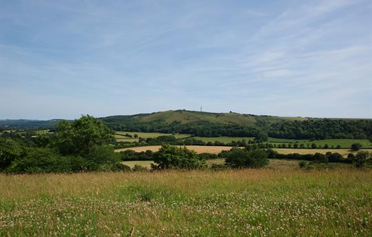 Views across the South Downs from Barrow Hill