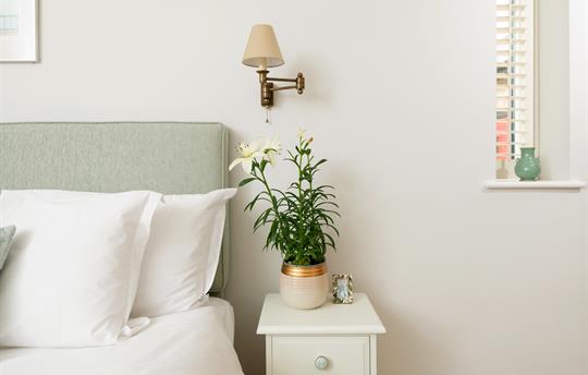 Stylish modern farmhouse furnishings