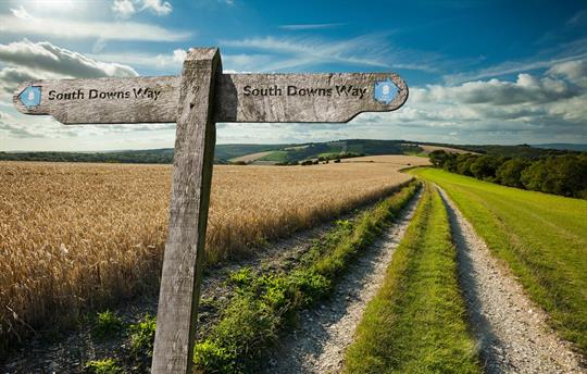 South Downs Way on our doorstep