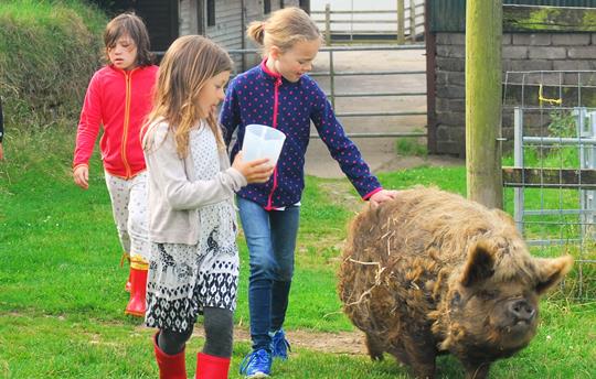 Walk Chilli up to the fields for breakfast