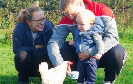 Family chicken feeding