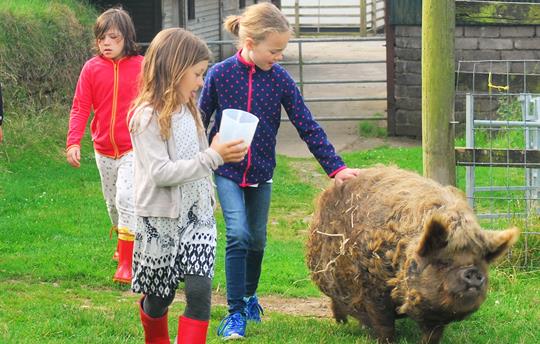 Walking Chilli up to the fields for breakfast