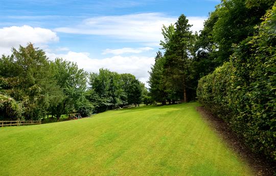 View of the shared garden