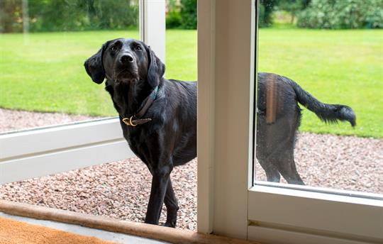 Truffle, made in Herefordshire