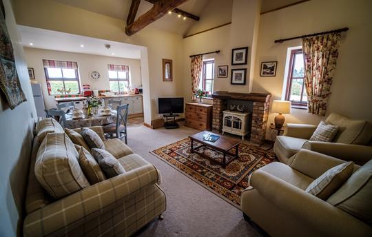 Living room with log burner