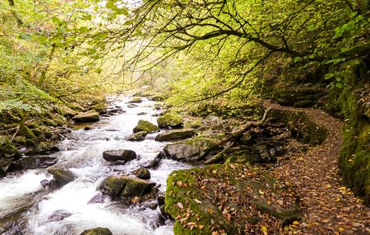 Exmoor Riverside Walk