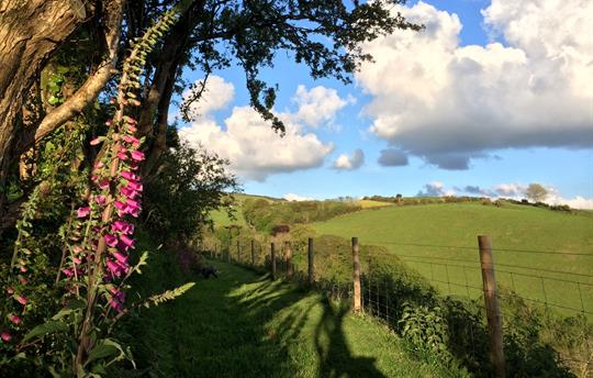 Beautiful walks on Coulscott's country estate