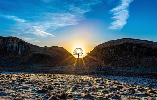 Sycamore Gap Hadrians Wall