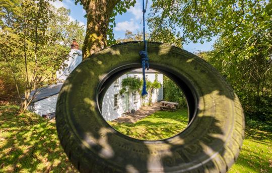 Tyn Y Coed tree swing 