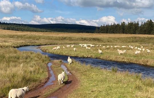 Brecon Beacons National Park